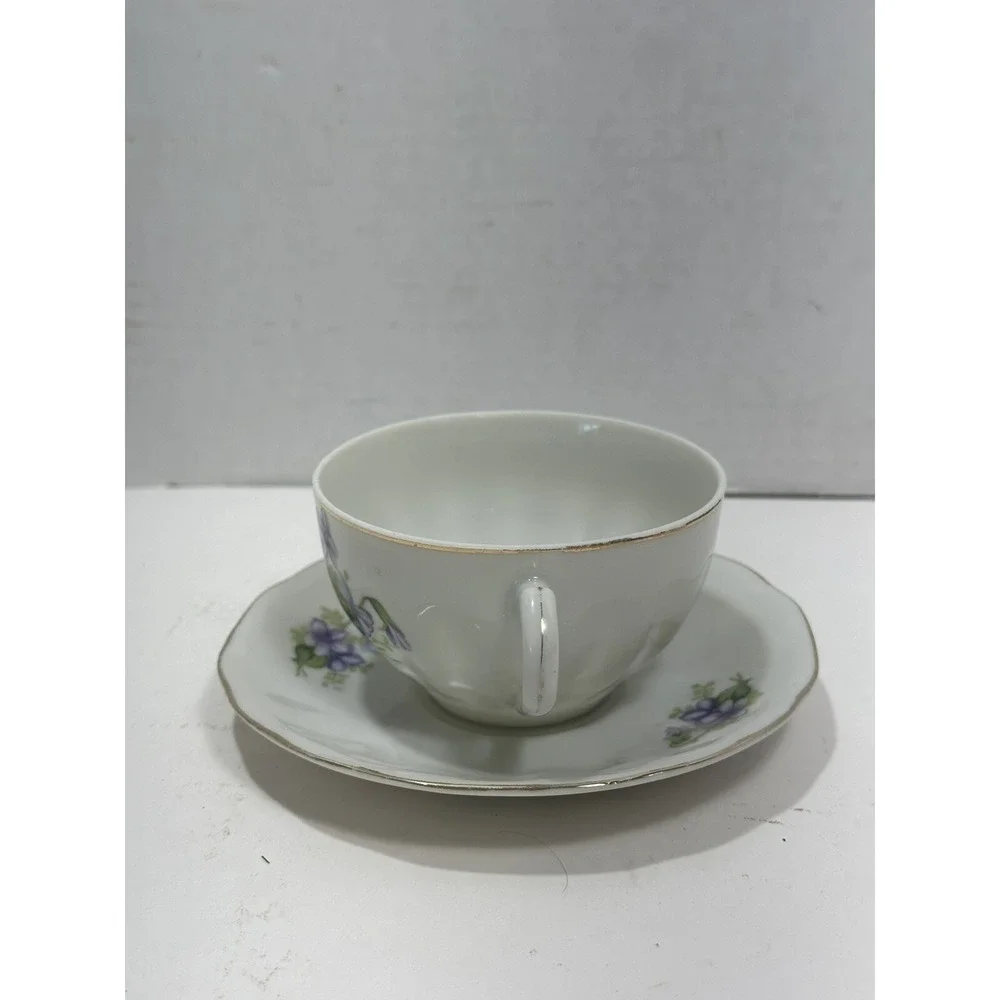 NIPPON YOKO BOEKI CO VINTAGE Purple Violet PORCELAIN TEA CUP & Plate Saucer RARE